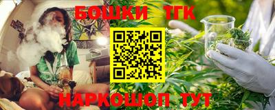 мдпв Тула