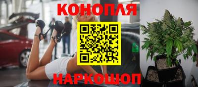 мдпв Тула