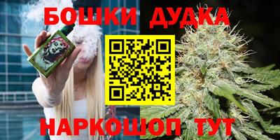мдпв Тула